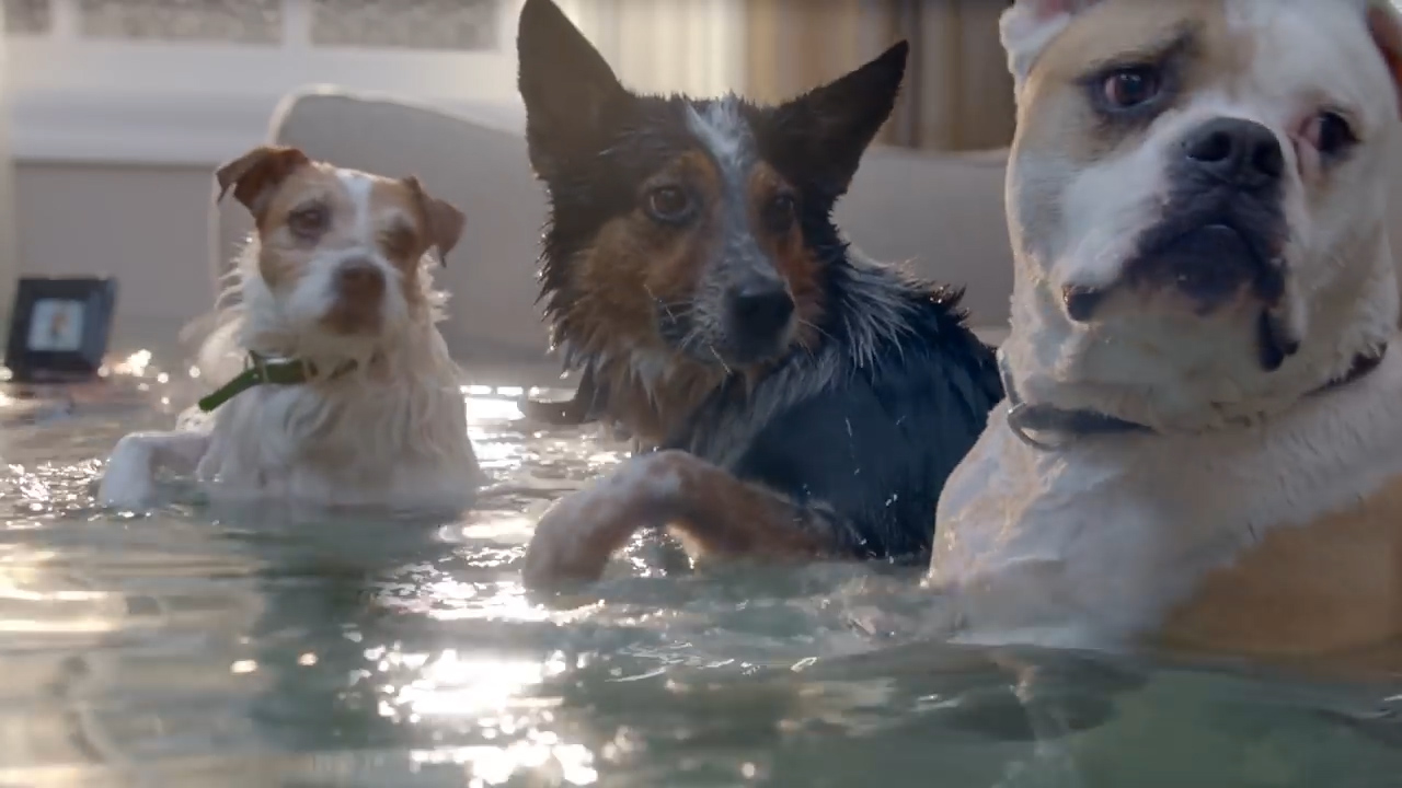 Farmers_Thumbnail_01