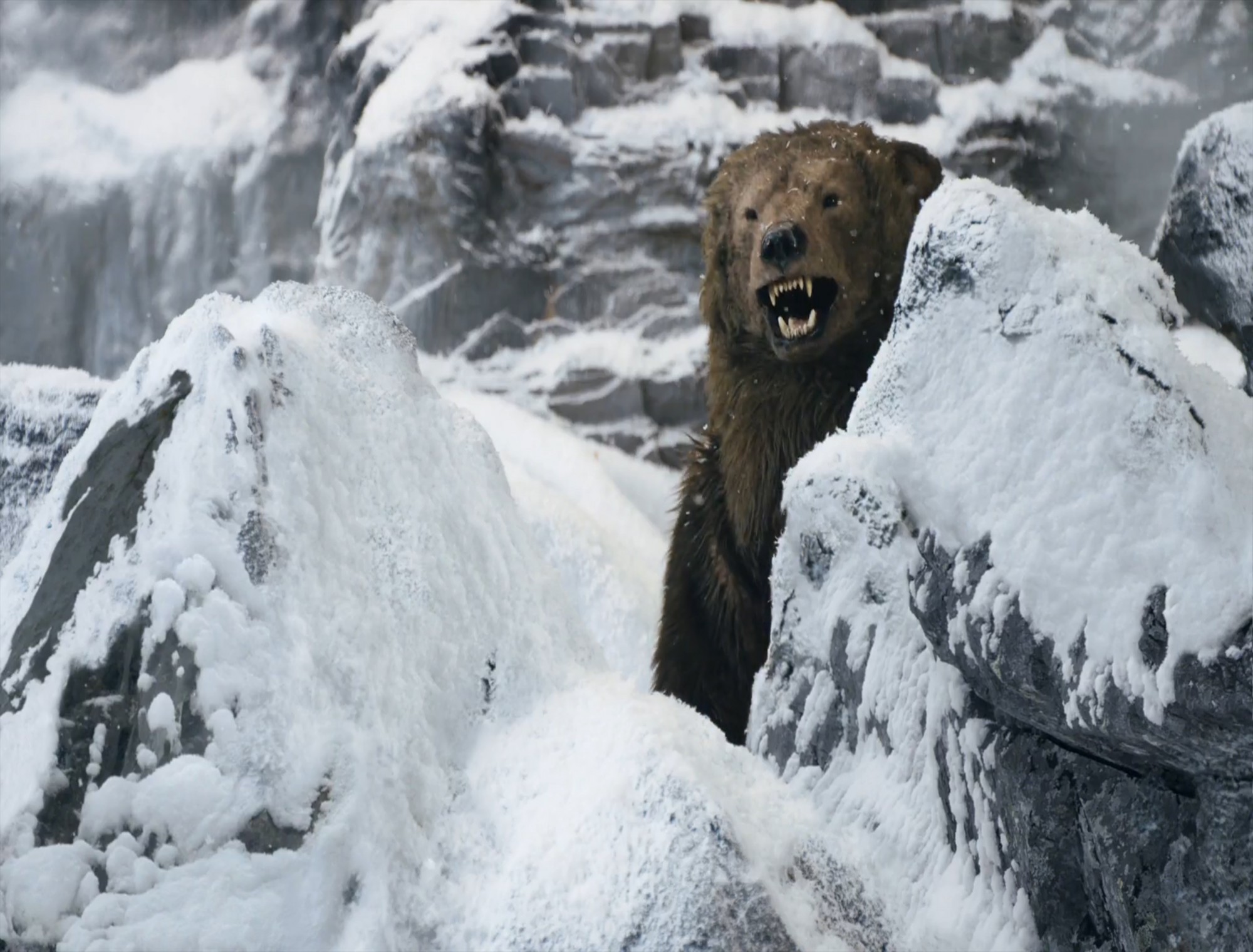 Party-At-The-Top0240