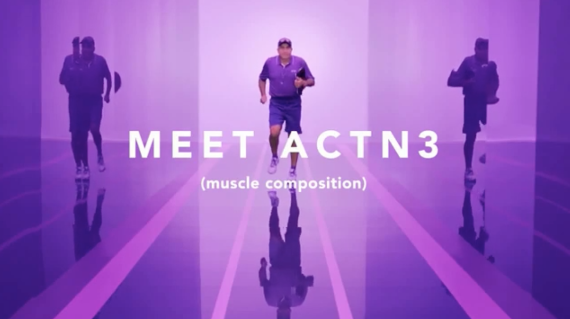 Screen Shot 2018-11-26 at 5.24.55 PM